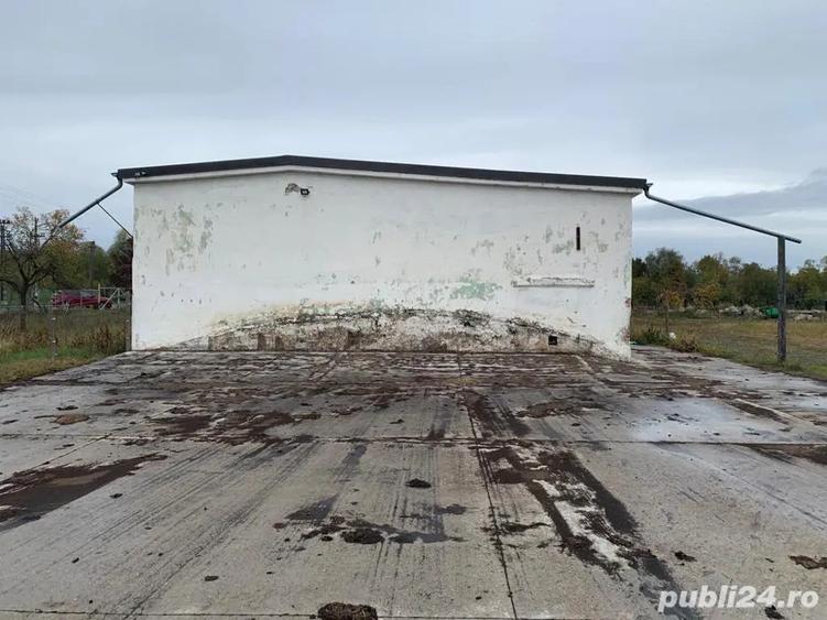 Asociere HALA Inalta JUD TIMIS LA 8km de A1, posibilitate extindere 4ha intravinal - 3