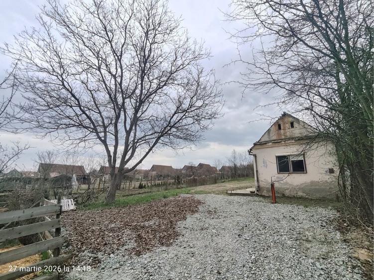 Casa cu livada / Teren intravilan / Sacel - 1350 mp Pozitie centrala - 8