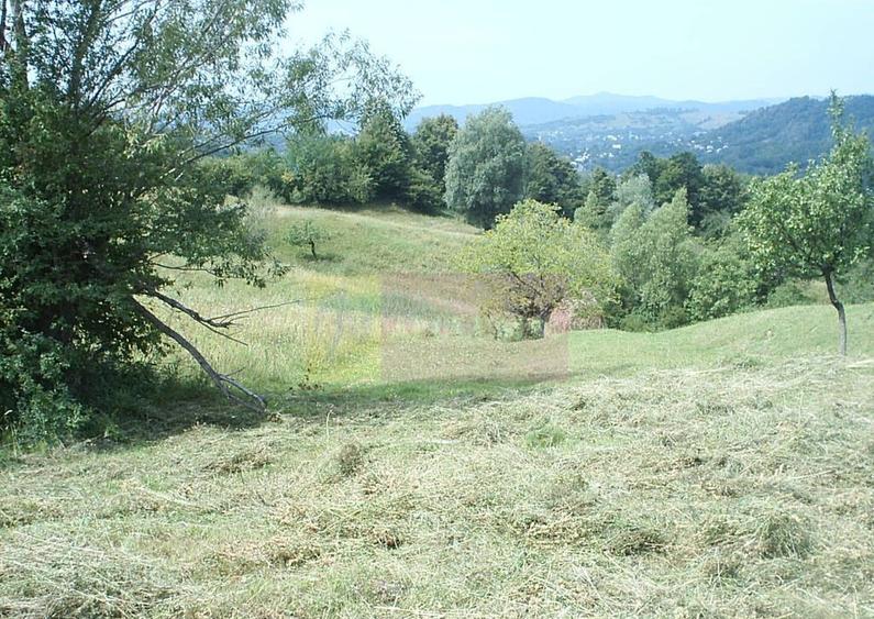 Teren extravilan de vanzare in Telega - 3