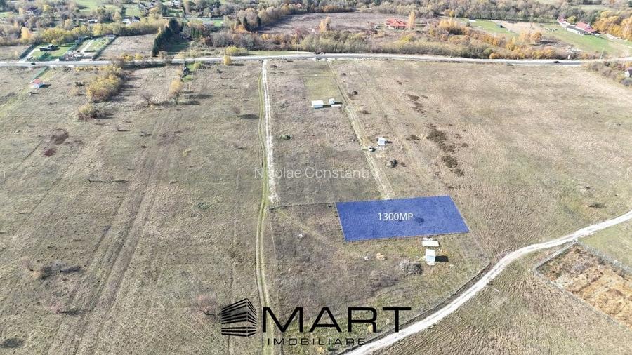 Teren 1300mp, curent trifazic Valea Avrigului Teren 1300mp, curent trifazic Valea Avrigului