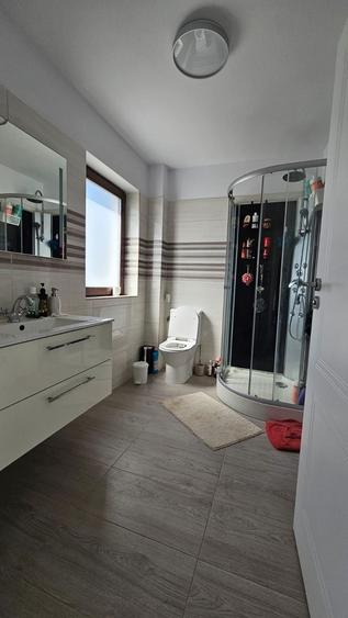 Vand casa individuala (P+M), situata in zona Visani - 5