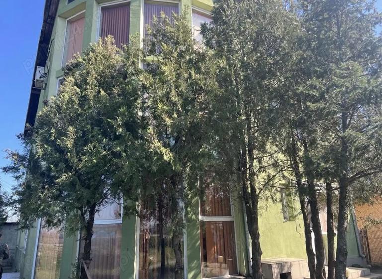 Vila Branesti Islaz foarte spatioasa stradala-ideal afacere - 2