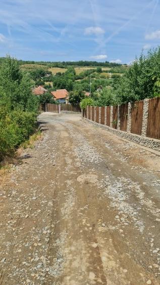 Teren Intravilan 1846 mp Casa | Duplex - 6