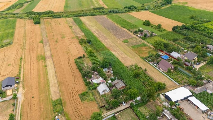 Teren agricol intravilan de 5292 mp, în Todirești