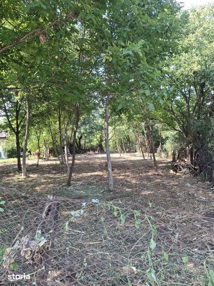 Teren de 1260 mp, în Tunari