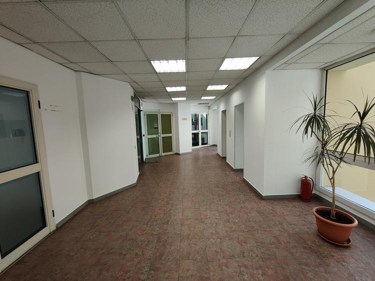Birou, de 980 mp, în Universitate