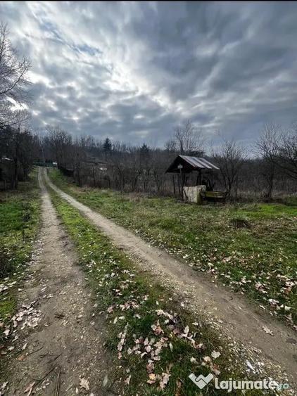 Casă individuală cu 3 camere cu Canalizare în Brabova