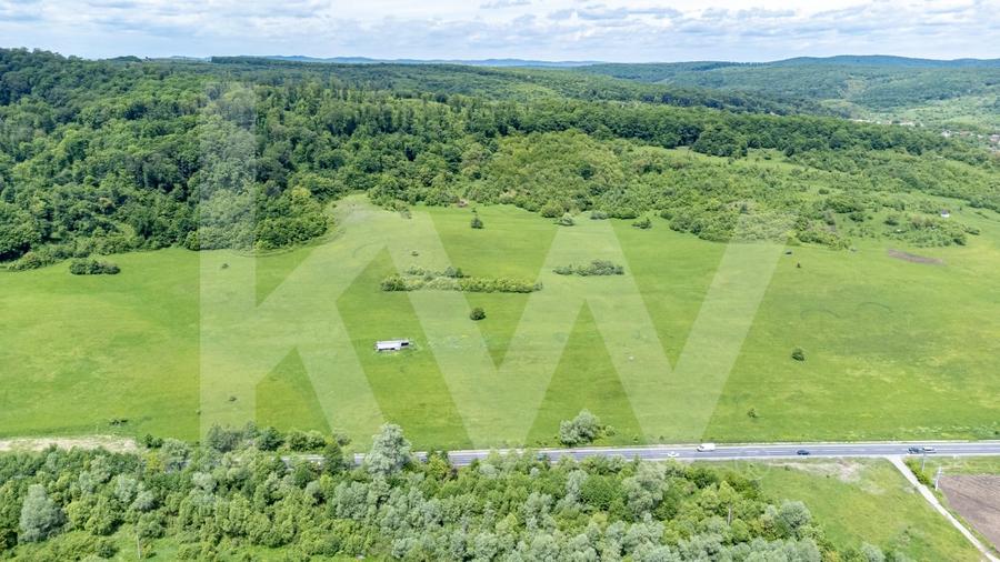 Teren de vanzare – 4.000 mp la intrare in Bradu, judetul Sibiu - 6
