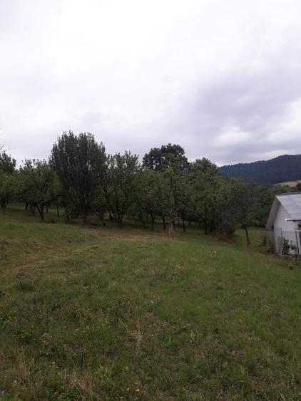 Teren intravilan Varatec, Neamt - 6