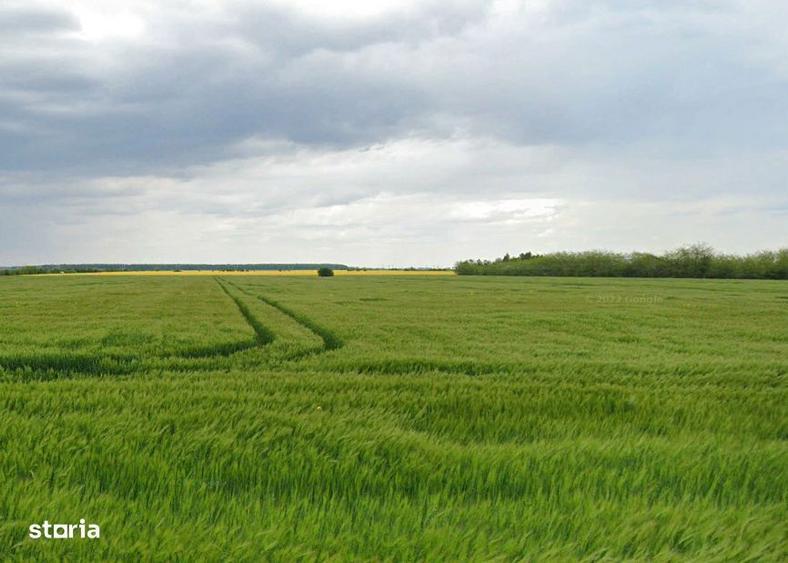 Oportunitate! 17.758 mp | Nou Terminal Aeroport | Intravilan | Tunari - 3