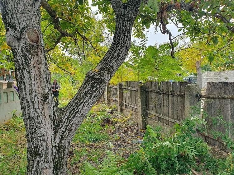 Casa de vanzare in Bratovoesti - 5