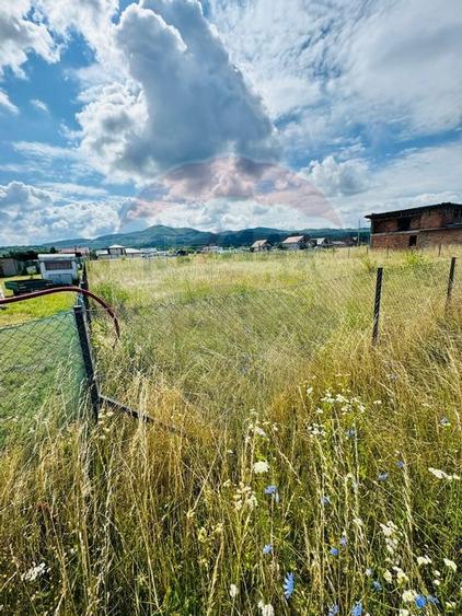 Teren 1,016mp Sighetu Marmatiei / Strada Doboies - 4