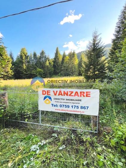 TEREN intravilan  comuna TARCAU - SCHITU - 1