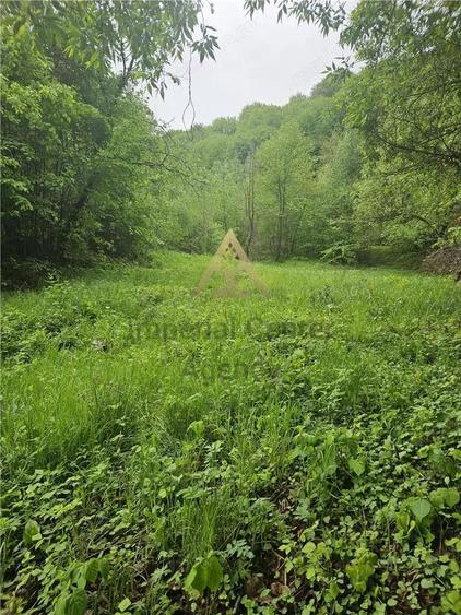 TEREN PENTRU BUSSINESS 2842 MP DE VANZARE IN STATIUNEA TARGU OCNA - 4