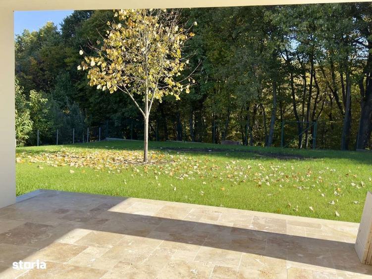 Casa parter ,4 camere, teren 1000mp Bucium langa padure - 8