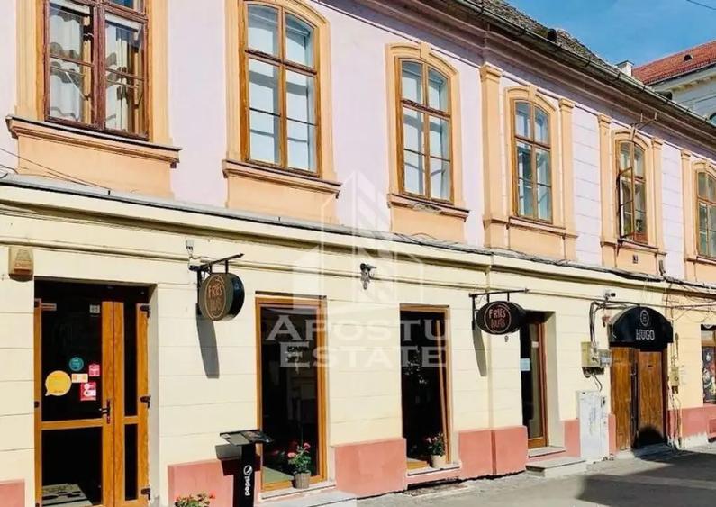 Afacere tip restaurant, Piata Unirii - 1