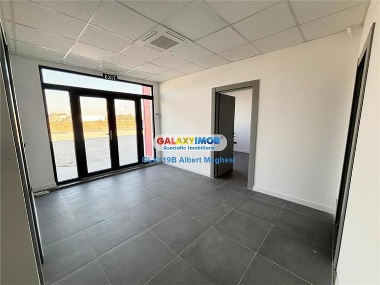 Inchiriere hala depozitare Parc Industrial TBM Rudeni - 12