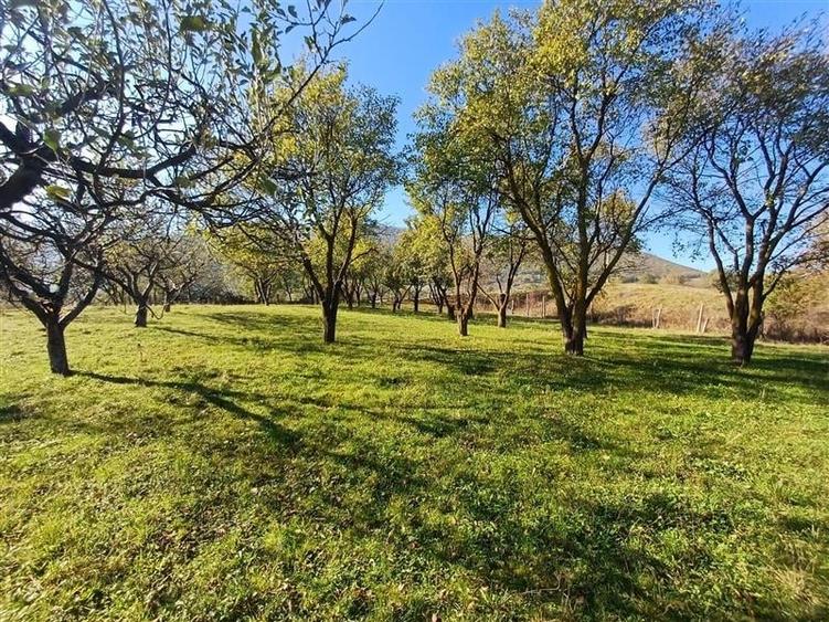 Teren de vanzare cu toate utilitatile la poarta - 4