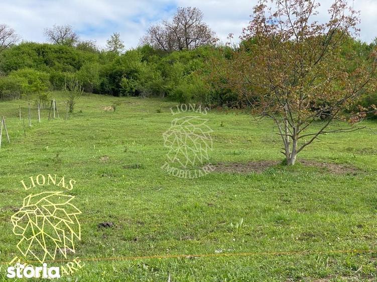 Teren 5000 mp-ideal investitie-Ghinda - 4