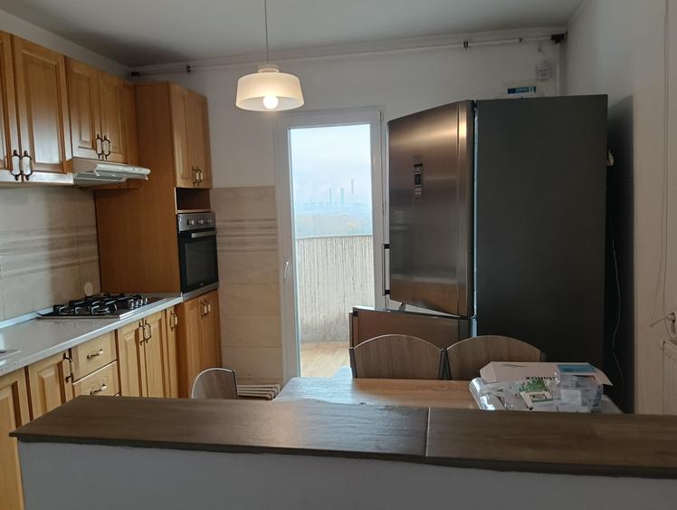 Primul chirias, Vedere superba asupra Parcului Natural Vacaresti - 6