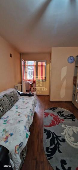 Garsoniera 24 mp Alexandru cel Bun Posta 250 euro - 1