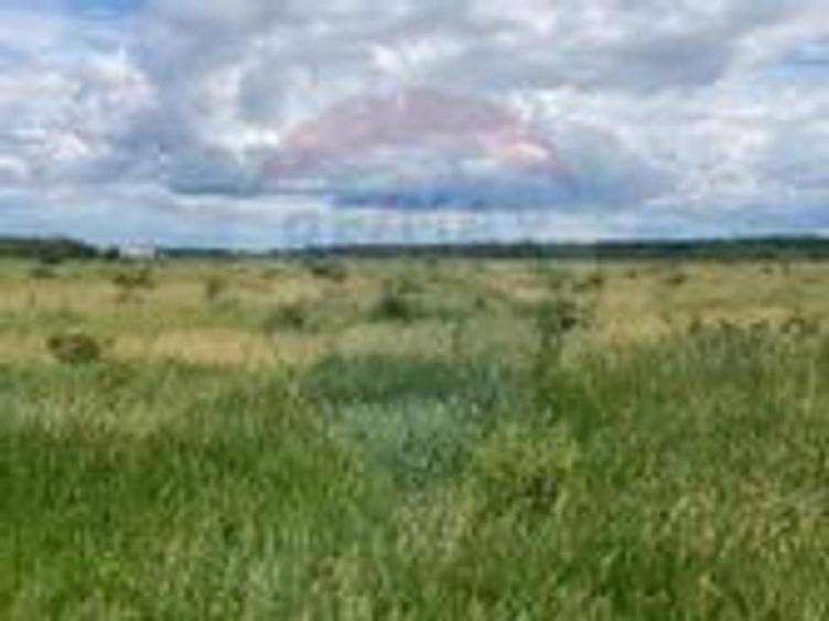 DE VANZARE Teren intravilan 600mp Drumul Piscul Mosului SISESTI - 17