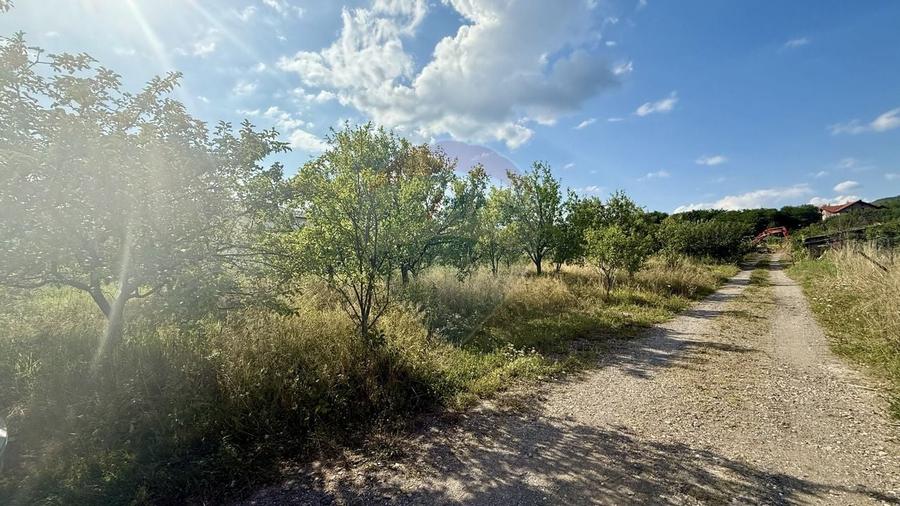 Teren Tautii-Magheraus - 4