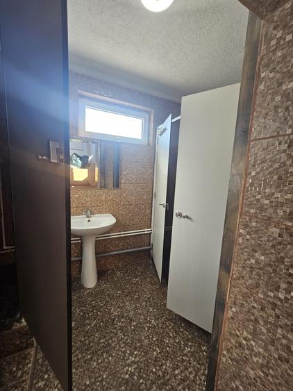 Proprietate speciala Dumbravita - casa individuala !! - 30