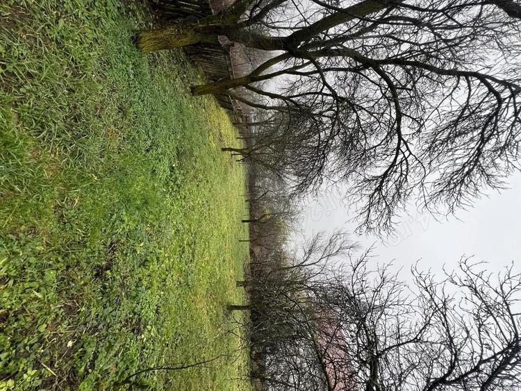 Casa de vanzare sat. Vechea com. Chinteni - 5