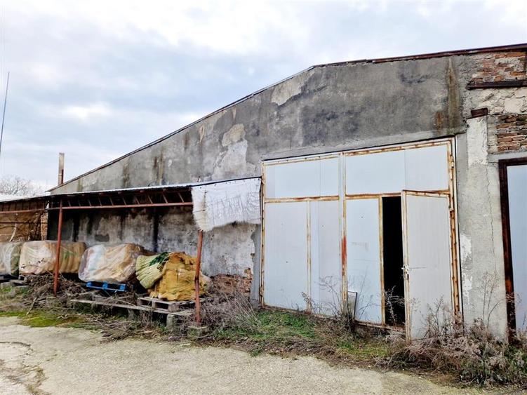 Hala 624 mp Bradesti - 3