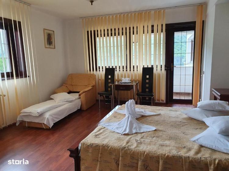 Oportunitate investitie! Ultracentral in orasul turistic Sinaia - 6