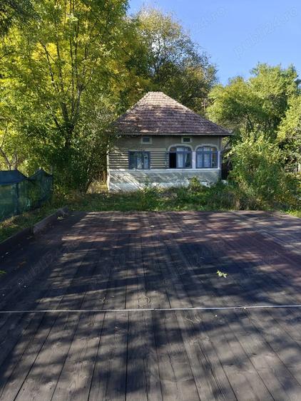 Visinesti Dambovita casa si teren - 1