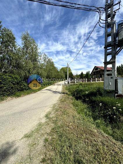 Teren Viisoara - comuna Alexandru cel Bun