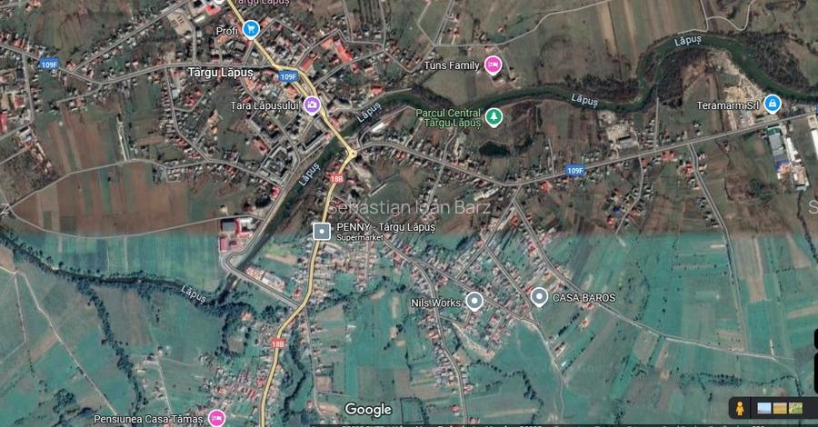 Casa de vanzare Targu Lapus zona centrala cu teren 3800mp si anexe