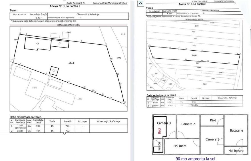 Casa + Teren Brebeni - 8000 metri patrati - 10 minute de Slatina - 1
