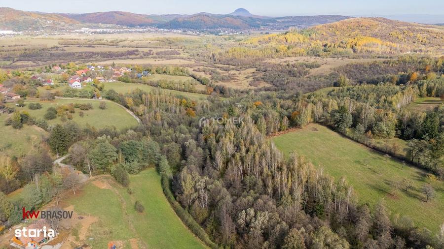 Teren intravilan in Zarnesti, zona Tohanita, cu padurice si parau curg - 7