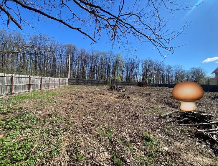 Teren de vis langa Pitesti - 5