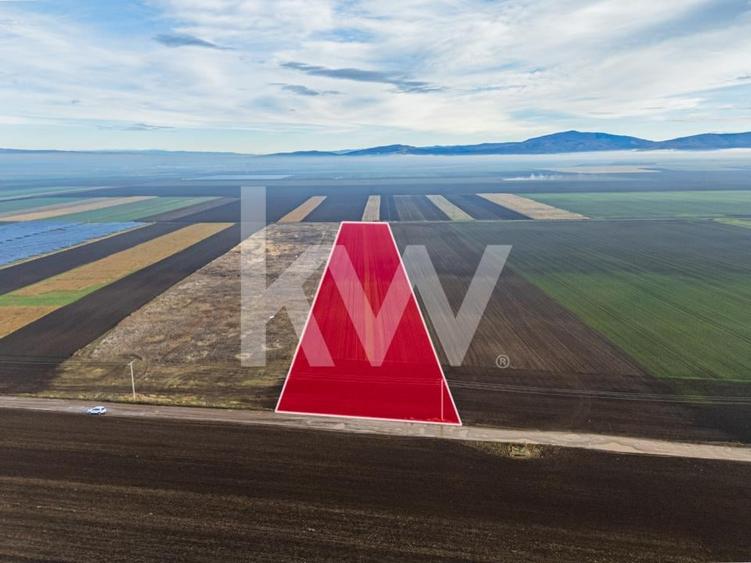 Teren exceptional pentru investitii industriale langa Brasov - 9