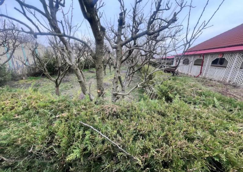 Negru Voda casa cu teren de 1200 mp, constructie 2008 - 11