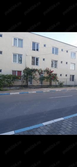 Casa de vacanta Costinesti - 2