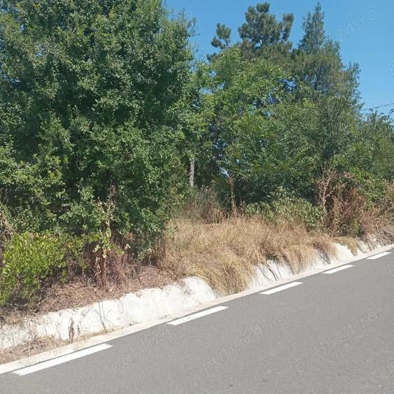 teren 1200 mp cu casa 80 mp Rasmiresti TR - 4