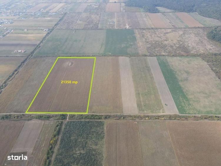 TEREN DE VANZARE 2,1 HECTARE in apropierea Padurii Bistra - 4