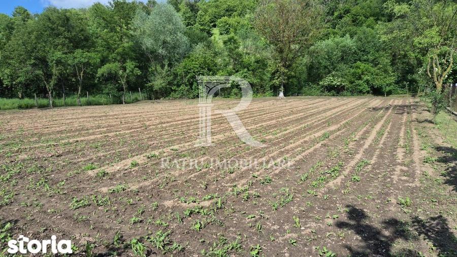 Casa cu 6 camere | Sitani | Bihor - 17