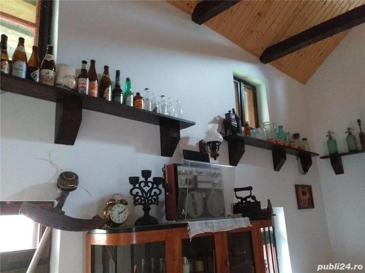 Vila 2 corpuri cladire, anexe si teren 5645 mp - 2