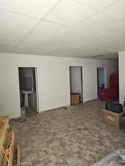 Hala la cheie Zona Vladesti - 5