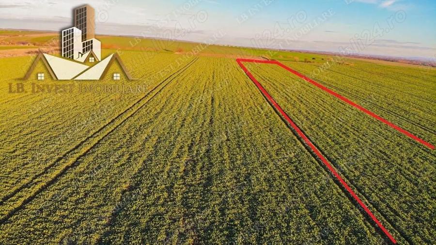 Teren Giarmata- asfalt-utilitati- PUG de locuinte colective - 2