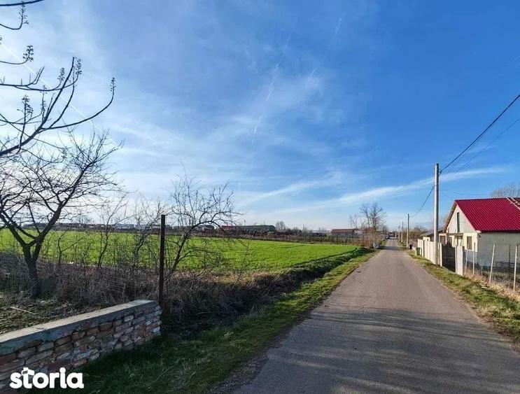 Vand loturi de 527 si 635 mp langa Delta Neajlovului la cel mai bun pr - 6