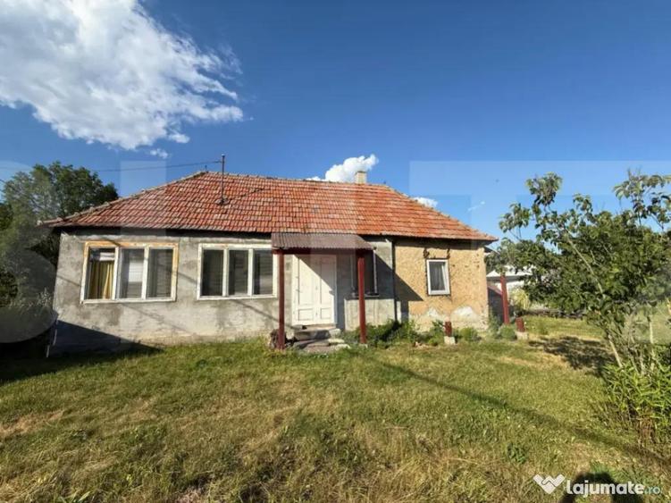 Casa taraneasca in inima naturii - 10