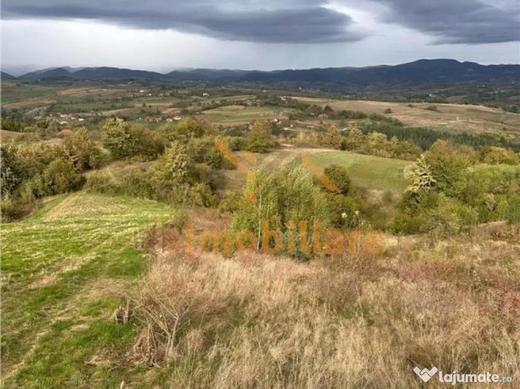 TEREN | 9341 MP | BALNACA GROSI | BIHOR - 4