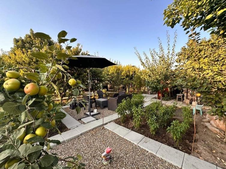 VILA UNICAT ULTRALUX P+1 +CASA CU TEREN 1412MP ZONA PALAZU MARE - 11